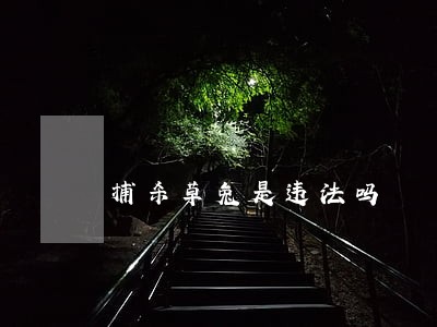 捕杀草兔是违法吗 捕杀草兔是违法吗