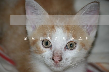 捕鱼游戏提现违法吗