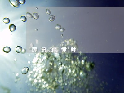 捞鲜森律师 捞鲜森律师