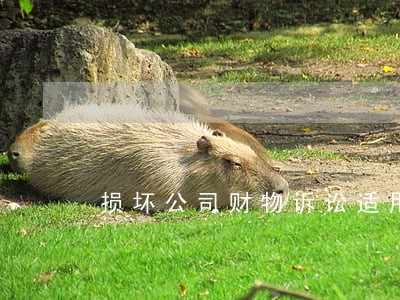 损坏公司财物诉讼适用法条 损坏公司财物诉讼适用法条