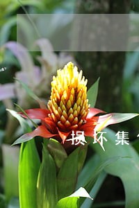 损坏集体土地公益诉讼 损坏集体土地公益诉讼