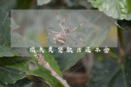 损失类贷款只还本金 损失类贷款只还本金