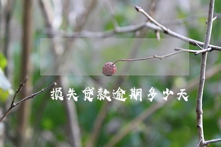 损失贷款逾期多少天 损失贷款逾期多少天