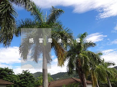 损害司法公信力 损害司法公信力