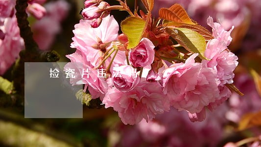 捡瓷片违法吗