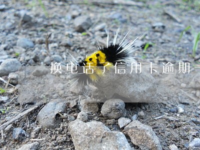 换电话了信用卡逾期一年未还款