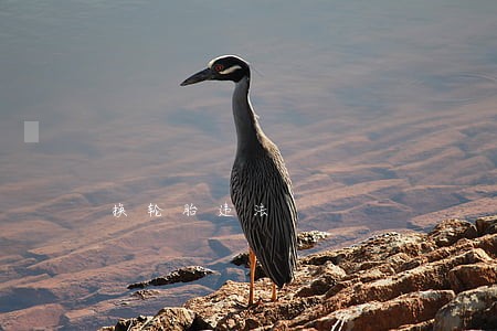 换轮胎违法