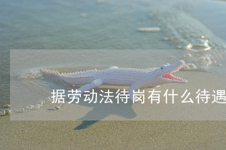 据劳动法待岗有什么待遇 据劳动法待岗有什么待遇