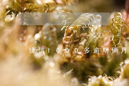 捷信1000多逾期俩月 捷信1000多逾期俩月