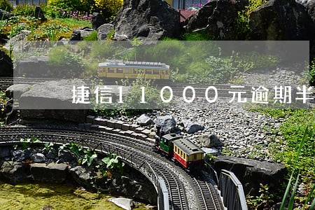 捷信11000元逾期半年多少钱