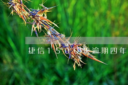 捷信1500块逾期四年 捷信1500块逾期四年