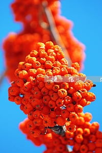 捷信1500福袋逾期不还 捷信1500福袋逾期不还