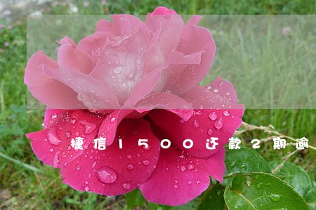 捷信1500还款2期逾期一年 捷信1500还款2期逾期一年