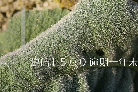 捷信1500逾期一年未还款 捷信1500逾期一年未还款