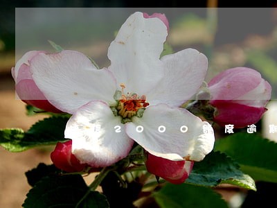 捷信2000额度逾期10天