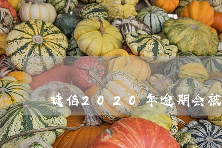 捷信2020年逾期会被上征信吗