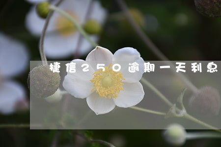 捷信250逾期一天利息是多少 捷信250逾期一天利息是多少