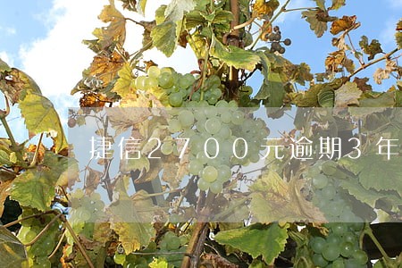 捷信2700元逾期3年