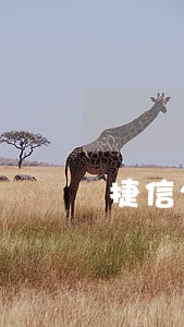 捷信2万逾期6年 捷信2万逾期6年