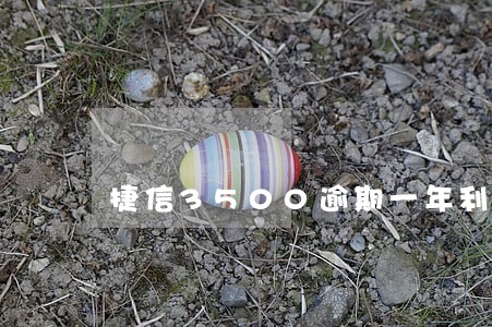 捷信3500逾期一年利息 捷信3500逾期一年利息