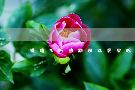 捷信3万逾期可以买房吗 捷信3万逾期可以买房吗