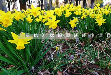 捷信3次逾期还能申请吗 捷信3次逾期还能申请吗