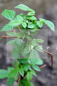 捷信4000块钱逾期会上门吗 捷信4000块钱逾期会上门吗