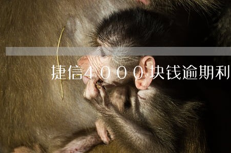 捷信4000块钱逾期利息多少 捷信4000块钱逾期利息多少