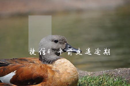 捷信4年前走过逾期