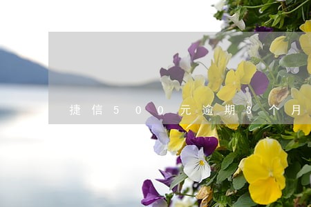捷信500元逾期3个月 捷信500元逾期3个月