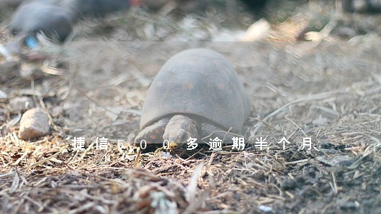 捷信500多逾期半个月 捷信500多逾期半个月