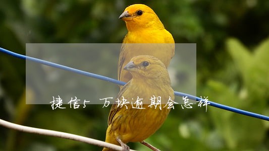 捷信5万块逾期会怎样 捷信5万块逾期会怎样