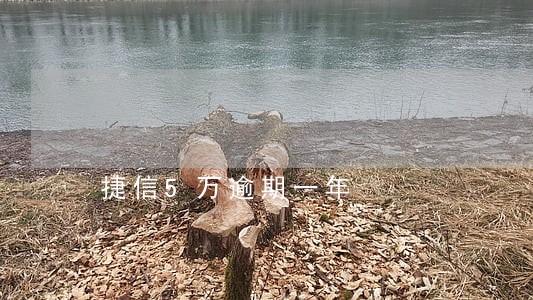 捷信5万逾期一年 捷信5万逾期一年