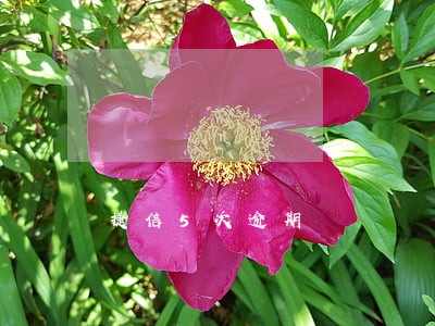 捷信5次逾期 捷信5次逾期