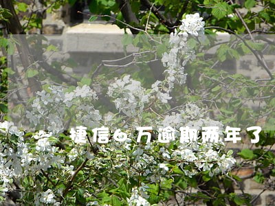 捷信6万逾期两年了 捷信6万逾期两年了