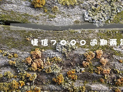 捷信7000逾期两年