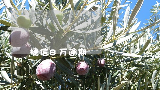 捷信8万逾期 捷信8万逾期