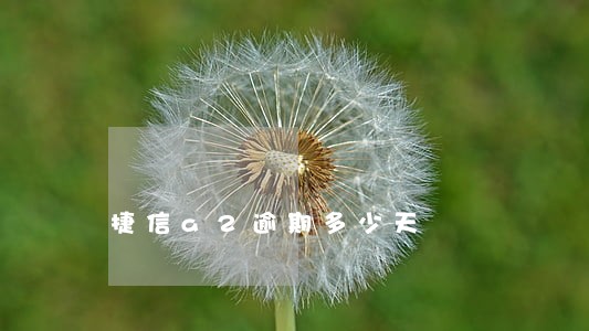 捷信a2逾期多少天 捷信a2逾期多少天