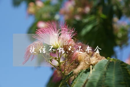 捷信不能只还本金