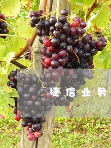 捷信业务员说只还本金 捷信业务员说只还本金