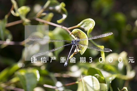 捷信严重逾期3000元 捷信严重逾期3000元