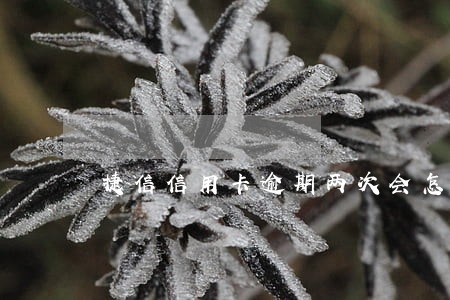 捷信信用卡逾期两次会怎么样 捷信信用卡逾期两次会怎么样