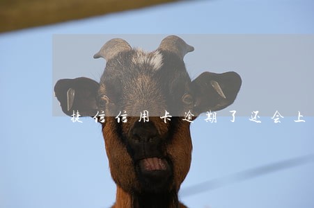捷信信用卡逾期了还会上门吗 捷信信用卡逾期了还会上门吗