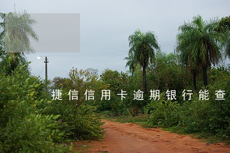 捷信信用卡逾期银行能查到吗 捷信信用卡逾期银行能查到吗