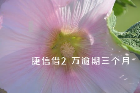 捷信借2万逾期三个月 捷信借2万逾期三个月
