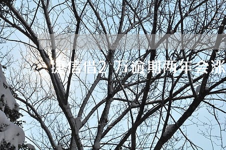捷信借2万逾期两年会涨到多少 捷信借2万逾期两年会涨到多少