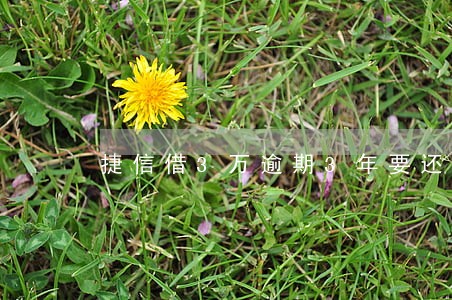 捷信借3万逾期3年要还5万 捷信借3万逾期3年要还5万