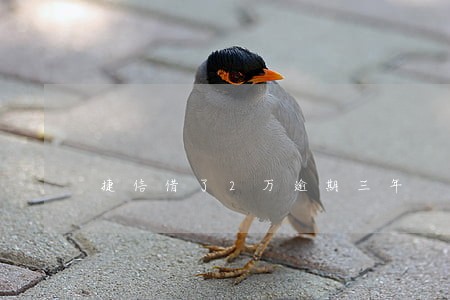 捷信借了2万逾期三年 捷信借了2万逾期三年