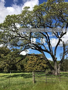 捷信借了34000逾期了 捷信借了34000逾期了