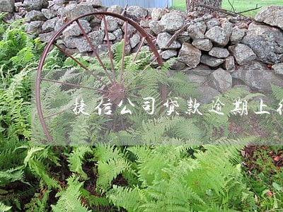 捷信公司贷款逾期上征信吗 捷信公司贷款逾期上征信吗